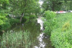 IMG_5781