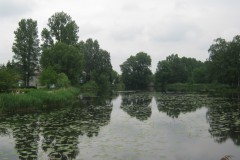 IMG_5817