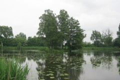 IMG_5823