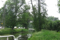 IMG_5825