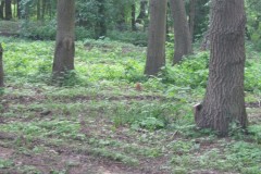 2011.06.12 Park Zdrojowy