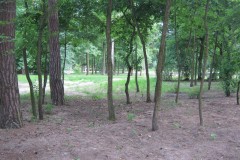 IMG_0091