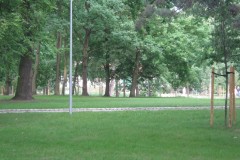 IMG_0101