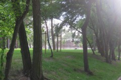 IMG_0104