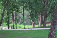 IMG_0122