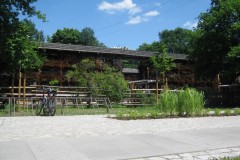IMG_0251
