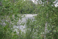 IMG_0351