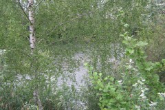 IMG_0354