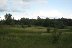 IMG_0361