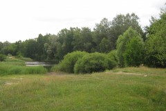 IMG_0365