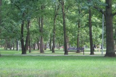IMG_0391