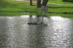 IMG_0408