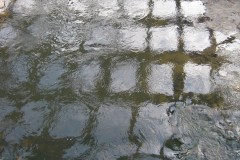 IMG_0085