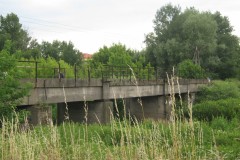 IMG_0459