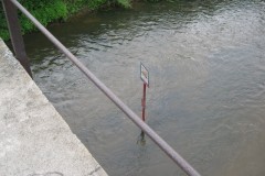 IMG_0460