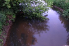 IMG_3254