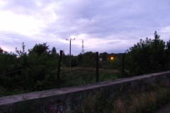 IMG_3267