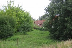 IMG_0482