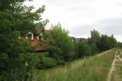 IMG_0484