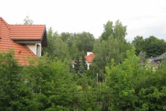 IMG_0486