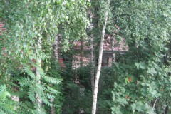 IMG_0492