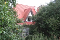 IMG_0493
