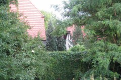 IMG_0494