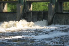 IMG_0558