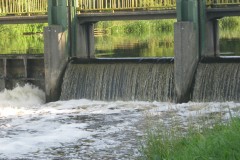 IMG_0560