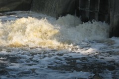 IMG_0562