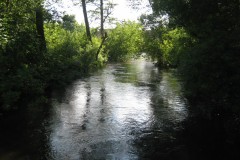IMG_0609