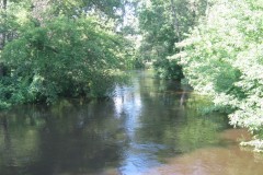 IMG_0610
