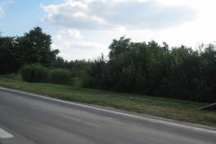 IMG_1301