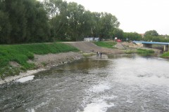 IMG_1567