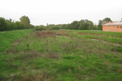 IMG_1584