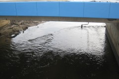 IMG_1587