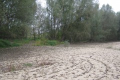 IMG_1842