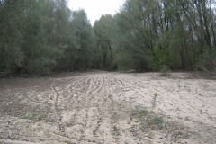 IMG_1846