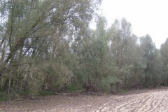 IMG_1848