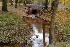 2011.10.31 Park Zdrojowy