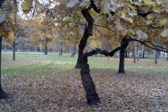 20111101770