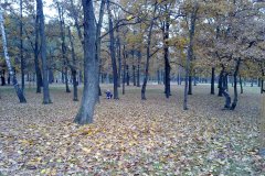 20111101771