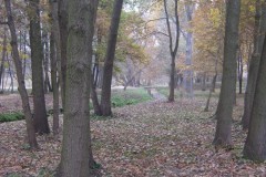 IMG_2024
