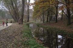 IMG_2033
