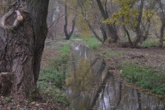 IMG_2034