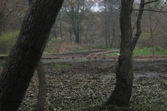 IMG_2035