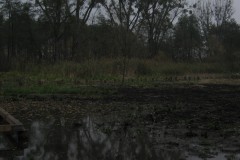 IMG_2042