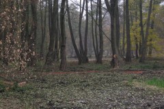 IMG_2045
