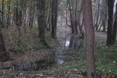 IMG_2047