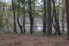 IMG_2049